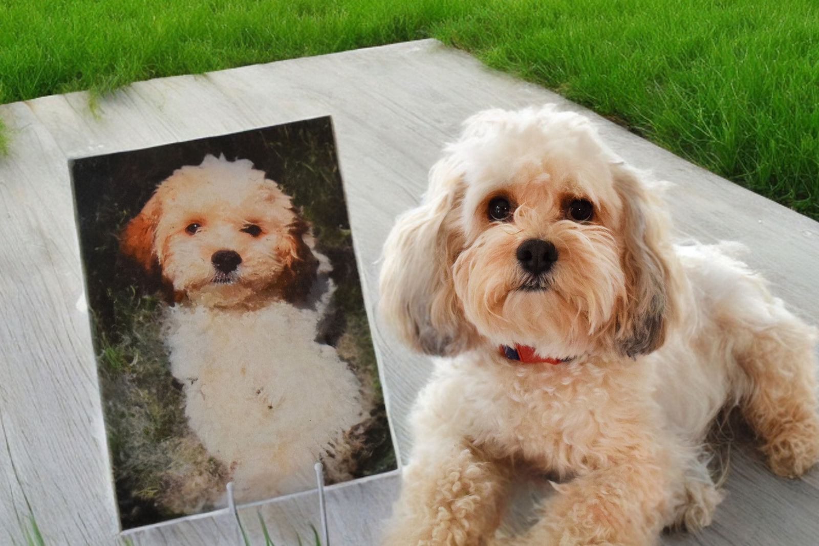 Custom Pet Portrait Painting from Your Photo, Digital Painting On Canvas